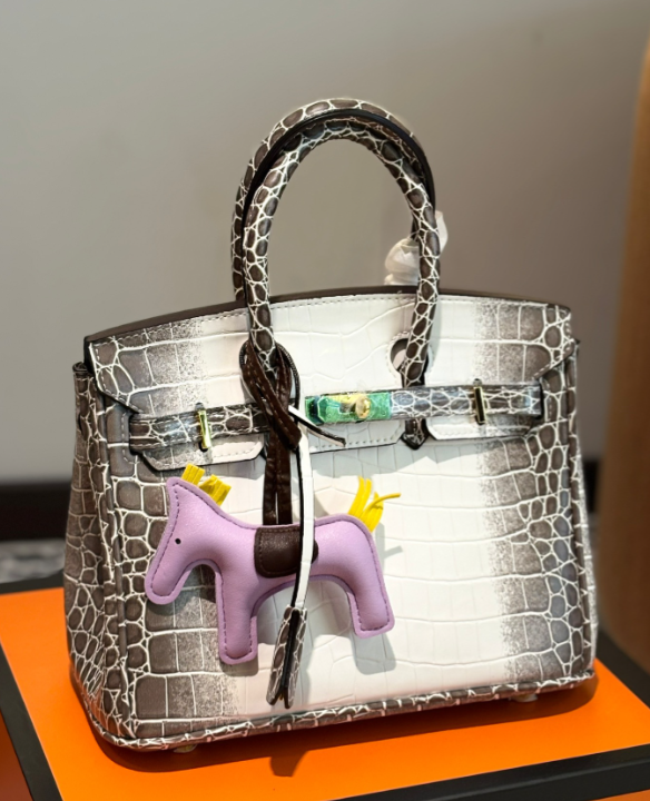 HERMES 650